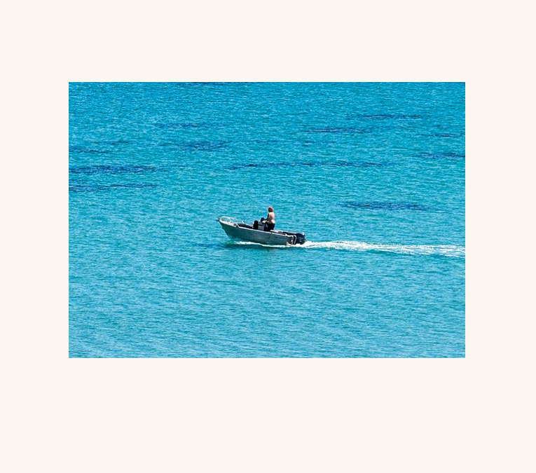 メモリアルアルバム