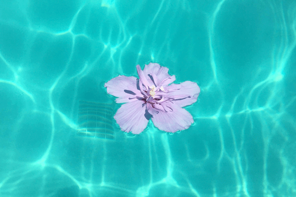 代理散骨プラン